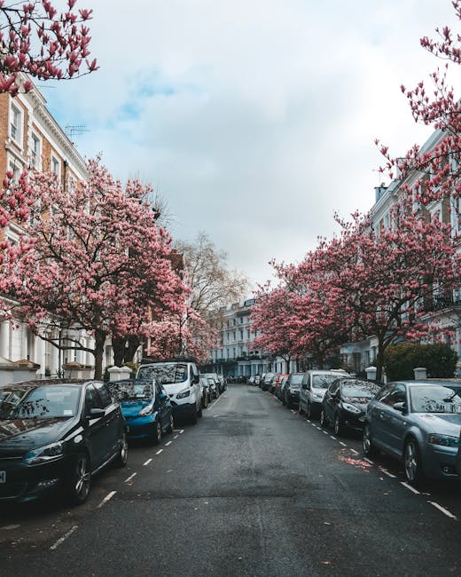 This image depicts a residential street in West Kensington, characterized by a row of cream-coloured, multi-storey Georgian-style houses with detailed cornices and balconies. The street scene is set during daylight, with a clear blue sky and a few scattered clouds. Several tall, leafy trees line the pavement, providing shade and greenery. Parked cars, including a dark vehicle and a white van, are positioned along the curbside, with some vehicles partially obscured by the trees. Pedestrians are seen walking along the sidewalk, passing by the houses and entering or exiting buildings. The street appears calm and orderly, suitable for home relocation or furniture transport activities as facilitated by local removals services. Occasionally, [COMPANY_NAME] may use such streets for loading and unloading furniture during house removals, ensuring careful handling of household items and efficient movement logistics in an urban environment typical of West Kensington.